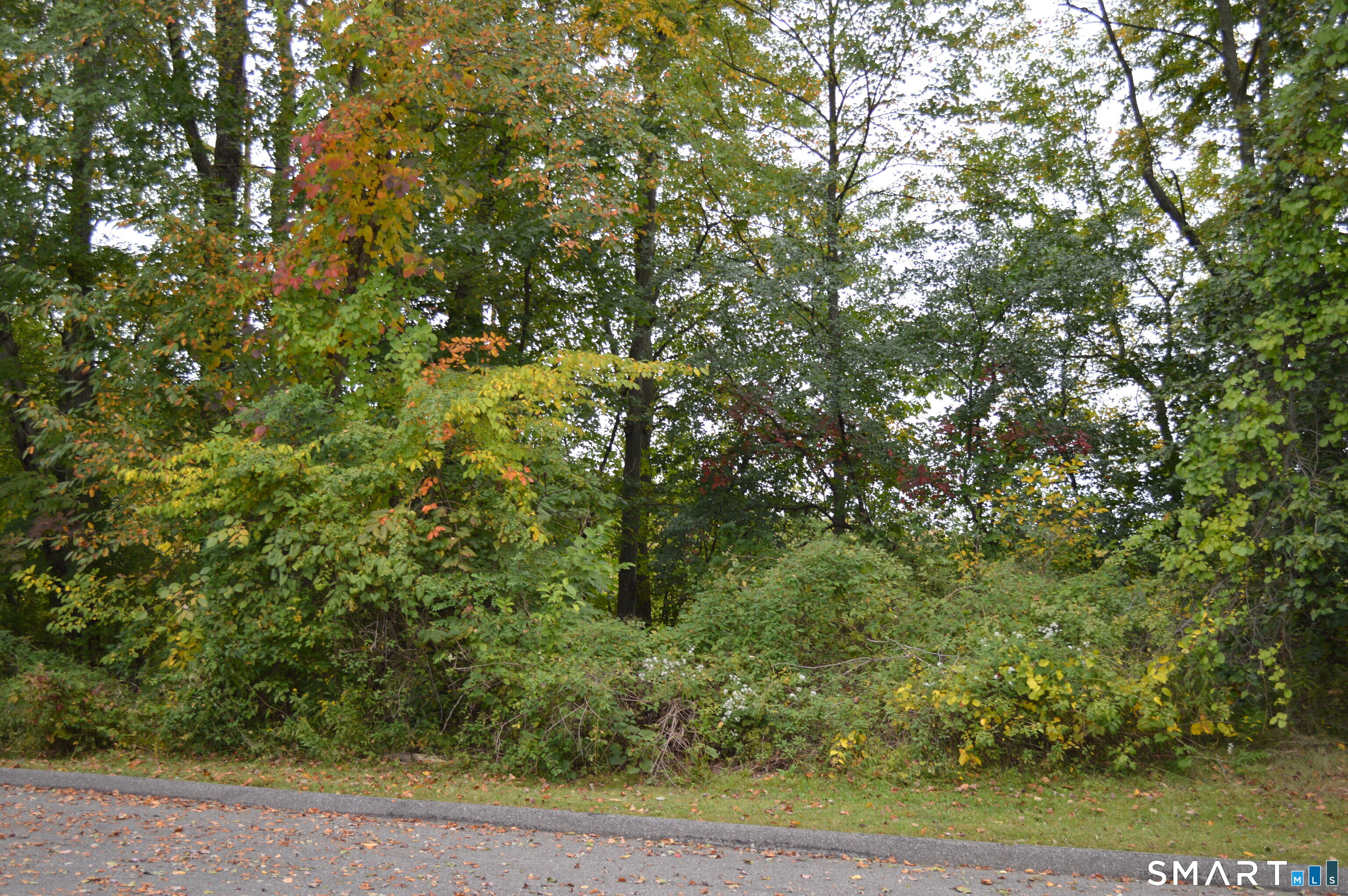 163 Cynthia Lane Middletown CT 06457