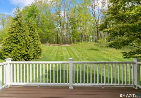 20 Brookside Court Newtown CT 06470