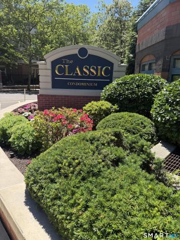 25 Forest Street Stamford CT 06901
