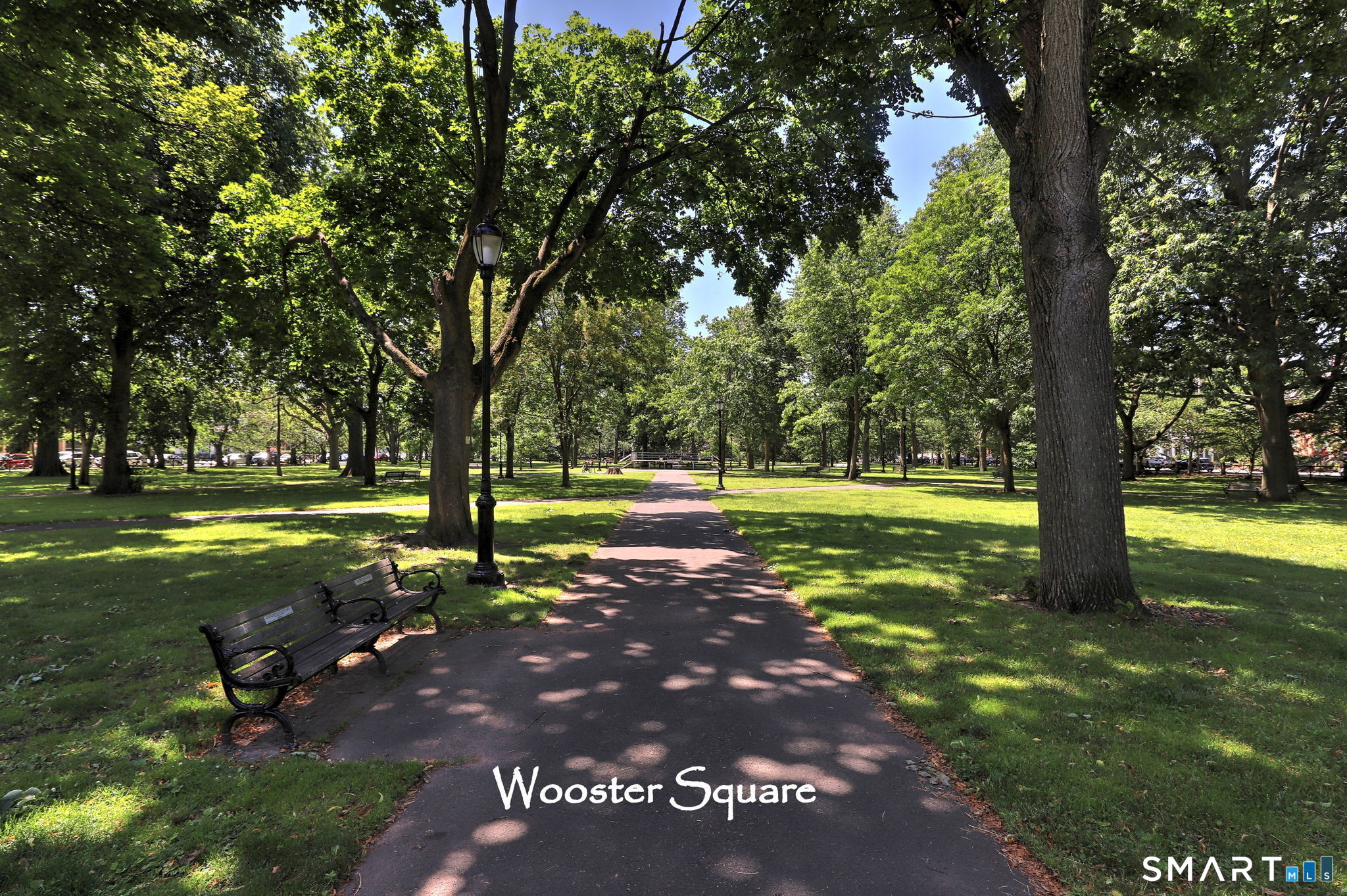 85 Olive Street New Haven CT 06511