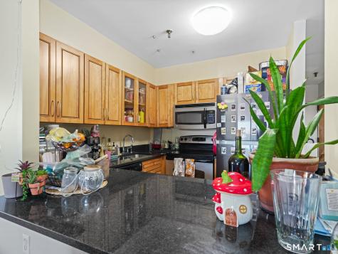 51 Schuyler Avenue Stamford CT 06902