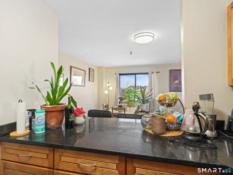 51 Schuyler Avenue Stamford CT 06902