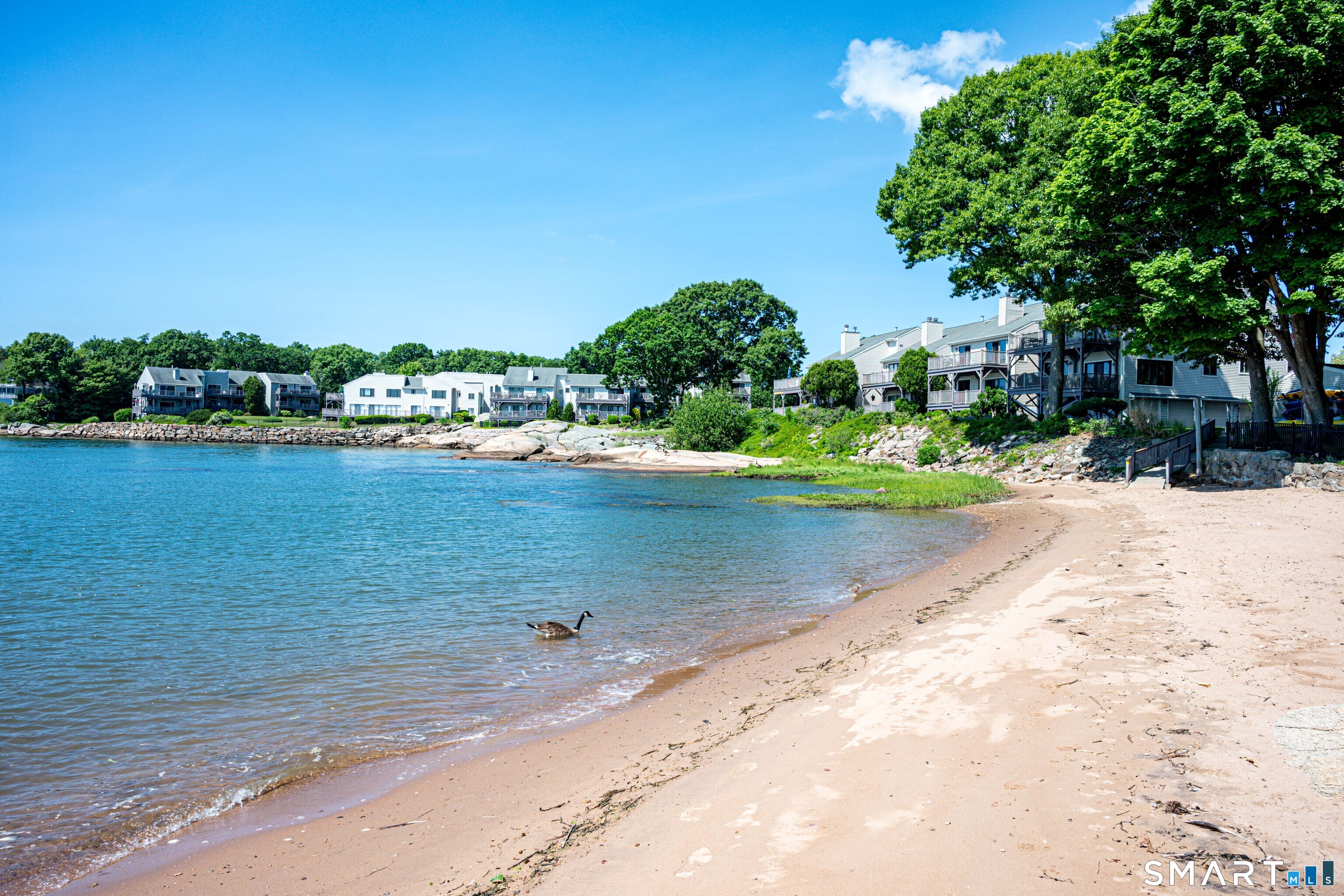 64 Turtle Bay Drive Branford CT 06405