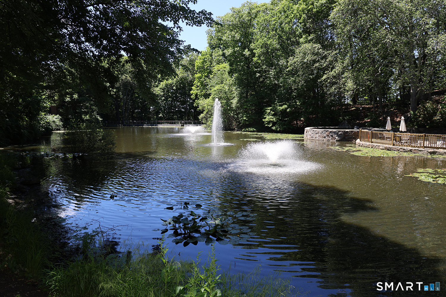 50 Aiken Street Norwalk CT 06851