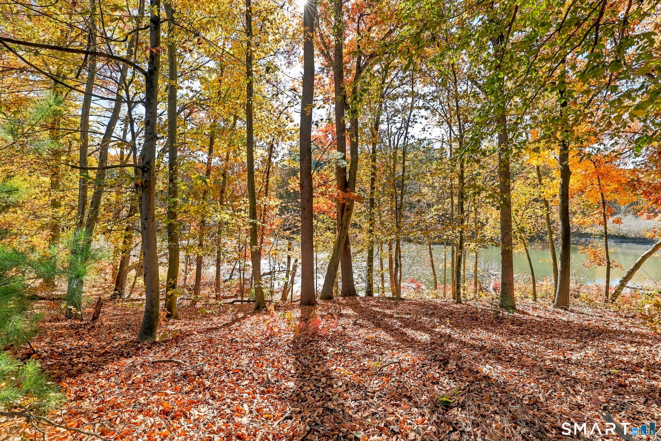 2507 Mill Pond Drive South Windsor CT 06074