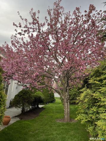 33 Old Field Hill Road Southbury CT 06488