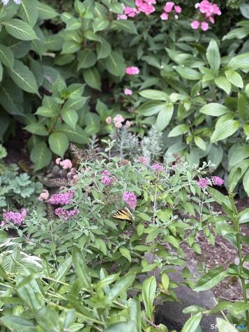 33 Old Field Hill Road Southbury CT 06488