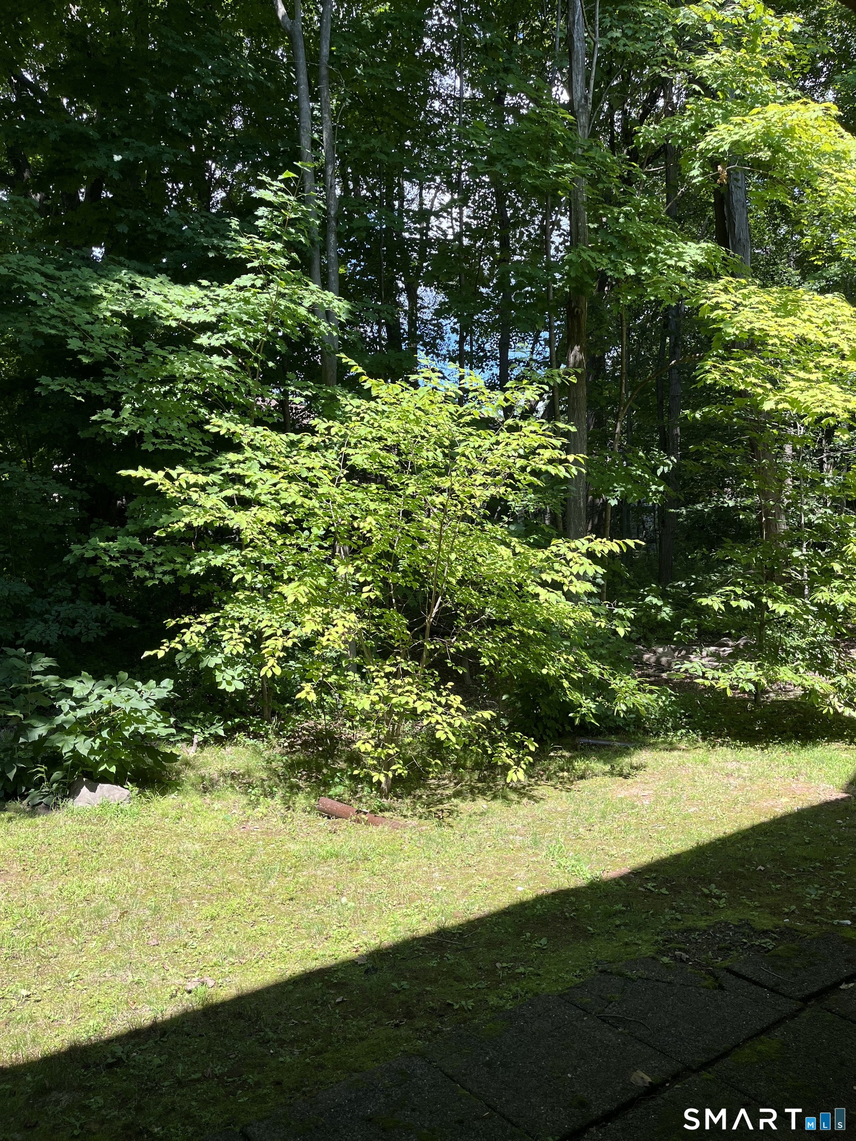 215 Foxwood Lane Milford CT 06461