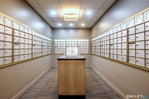 100-York York Street New Haven CT 06511