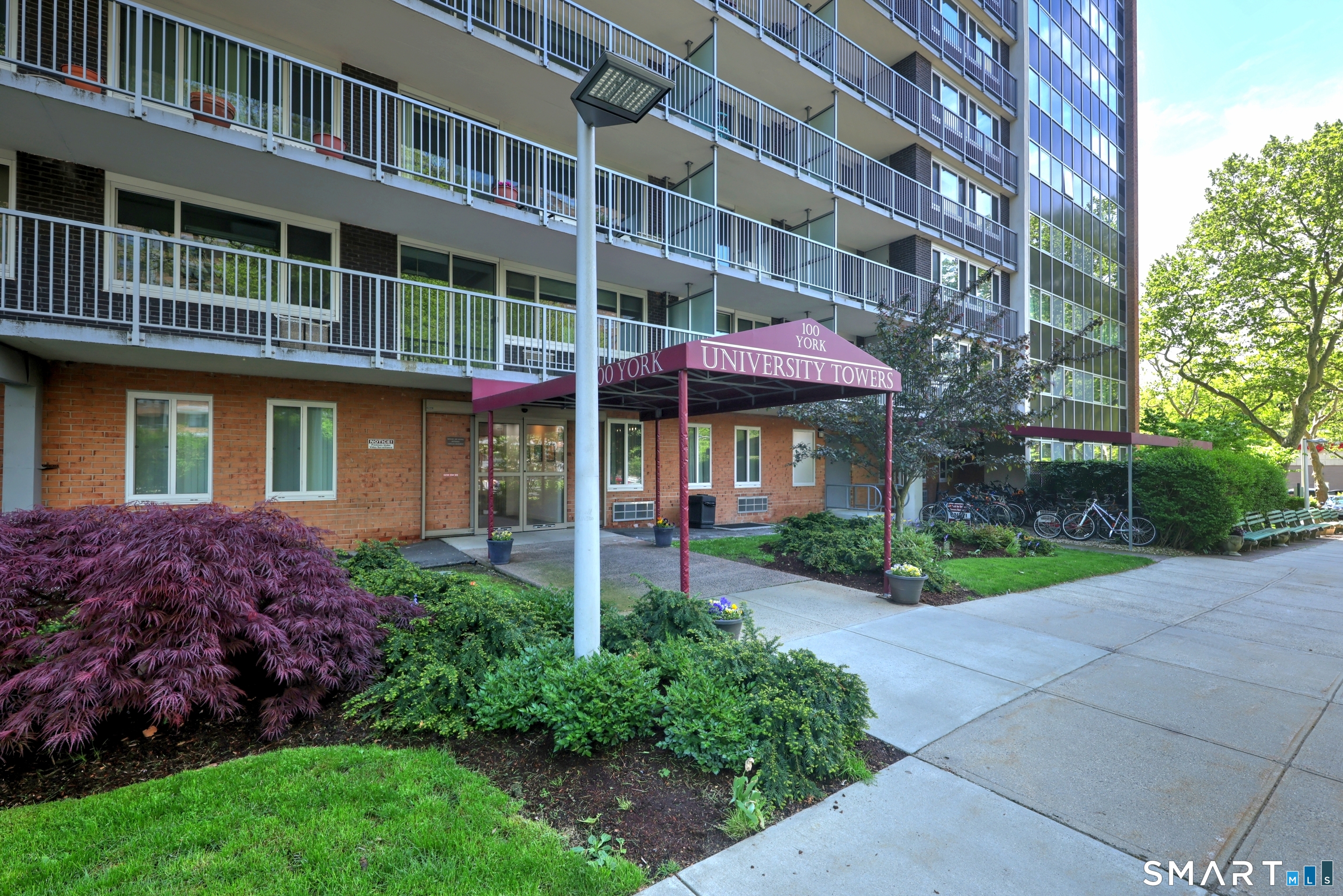 100-York York Street New Haven CT 06511
