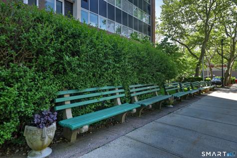 100-York York Street New Haven CT 06511