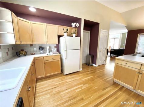 11 Trout Brook Circle Newtown CT 06470