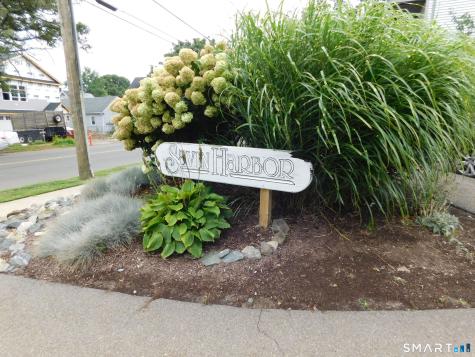 330 Savin Avenue West Haven CT 06516