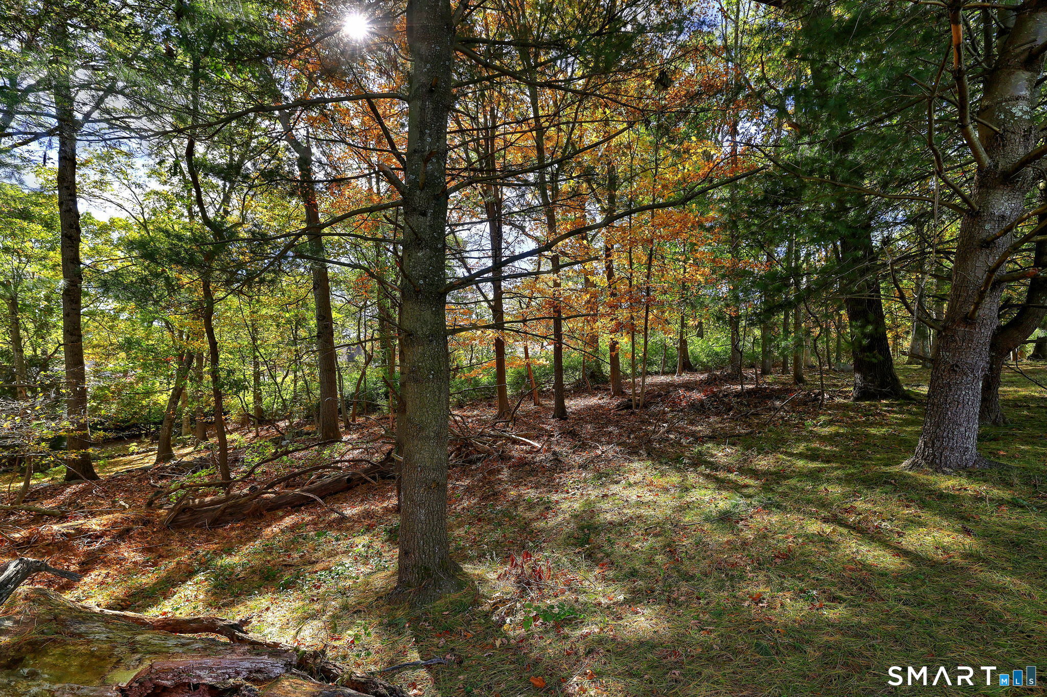 690 Forest Road West Haven CT 06516