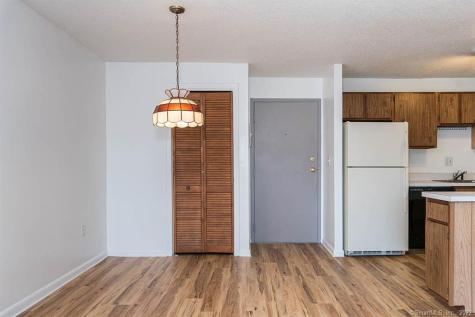 1323 Harbor View Drive Rocky Hill CT 06067