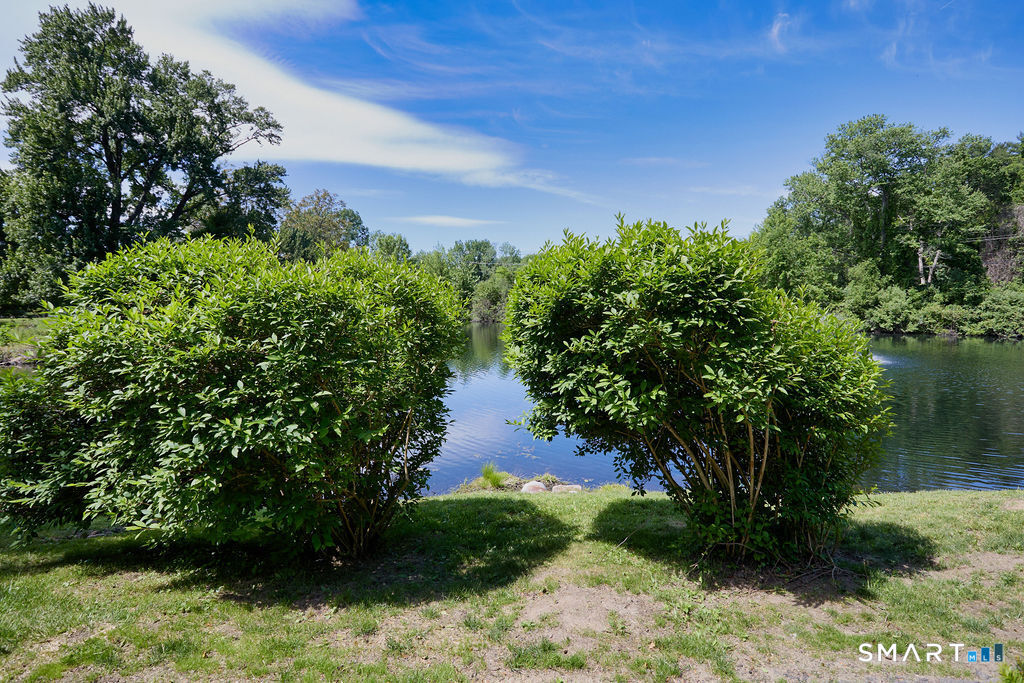 6 Hollyberry Lane Ridgefield CT 06877