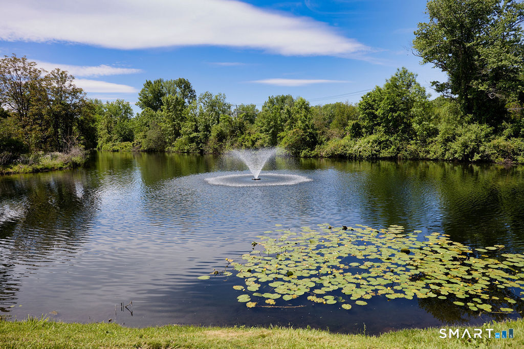 6 Hollyberry Lane Ridgefield CT 06877