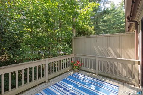 47 Woods Way Woodbury CT 06798