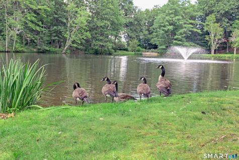 47 Woods Way Woodbury CT 06798