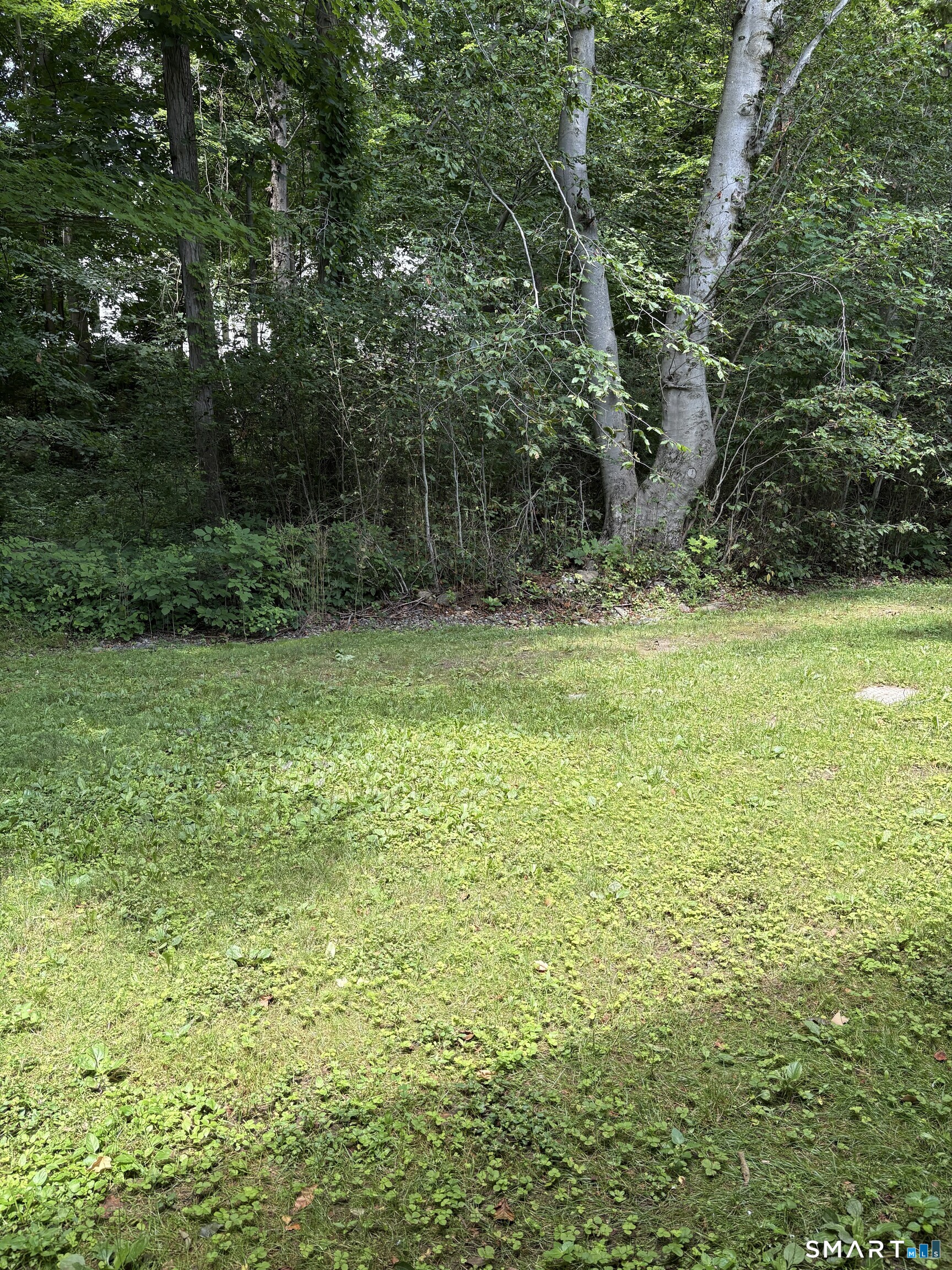 559 Swanson Crescent Milford CT 06461
