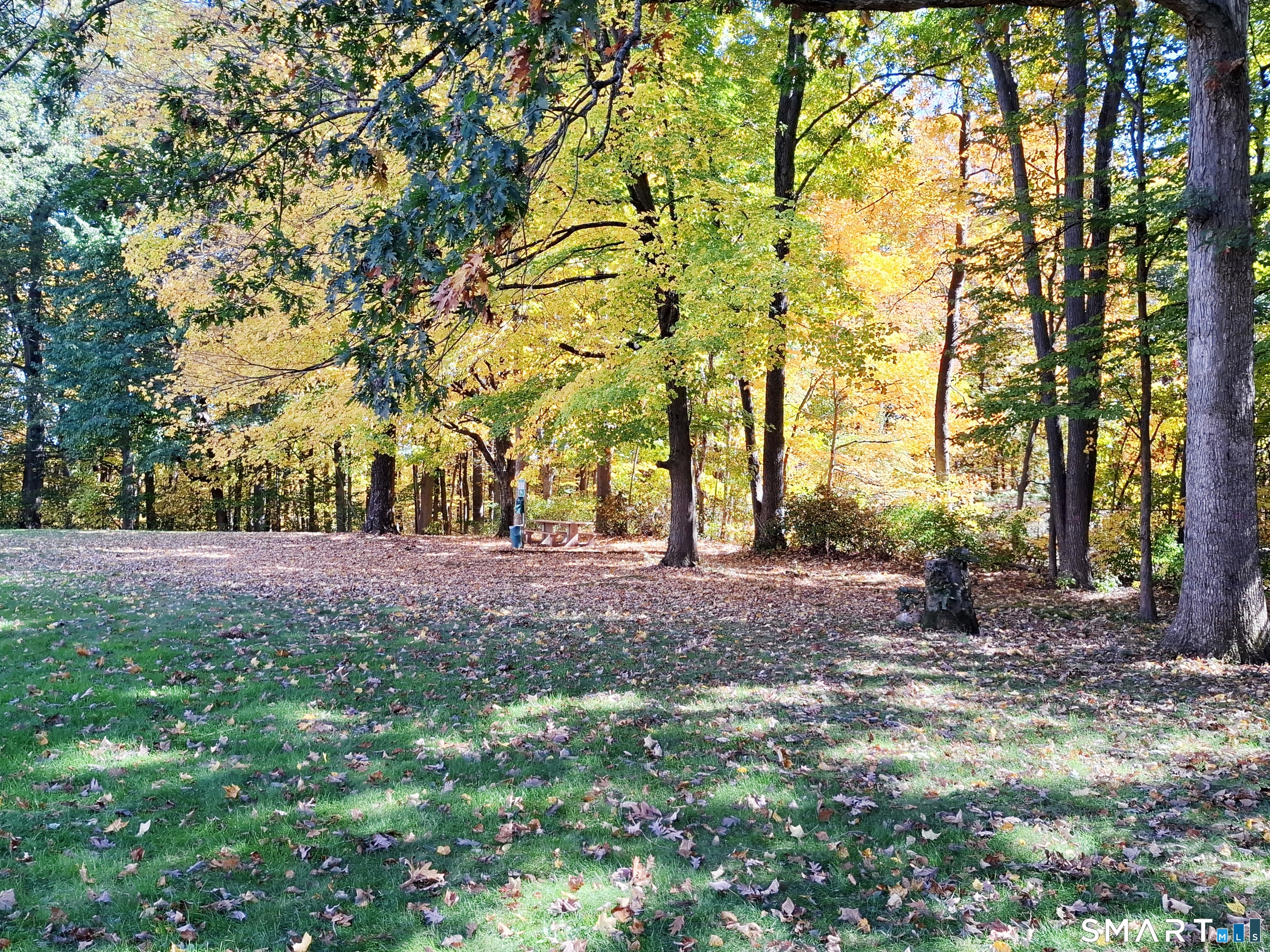 62 Woodland Drive Cromwell CT 06416