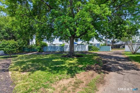 190 Wooster Street New Haven CT 06511