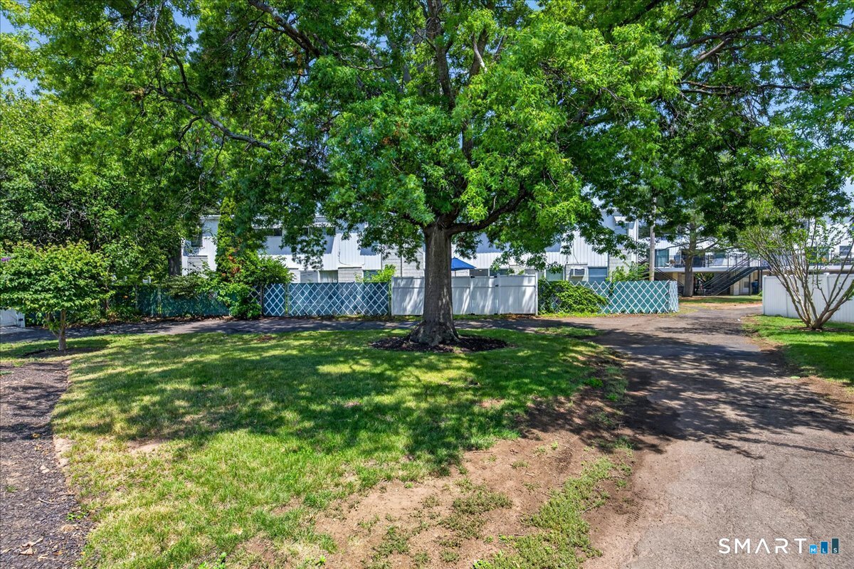 190 Wooster Street New Haven CT 06511