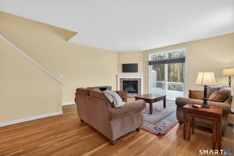 10 Trout Brook Circle Newtown CT 06470