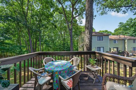 40 Foxon Hill Road New Haven CT 06513