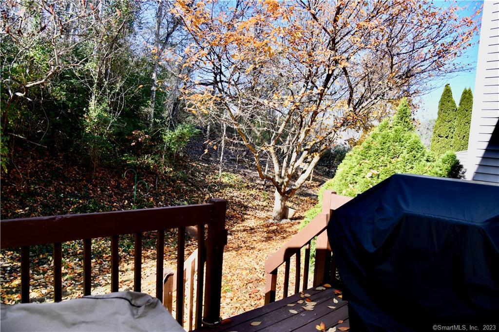 3 Lakeview Drive Branford CT 06405