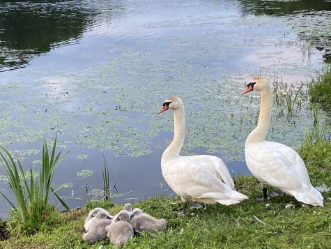 2 South Meadows Woodbury CT 06798