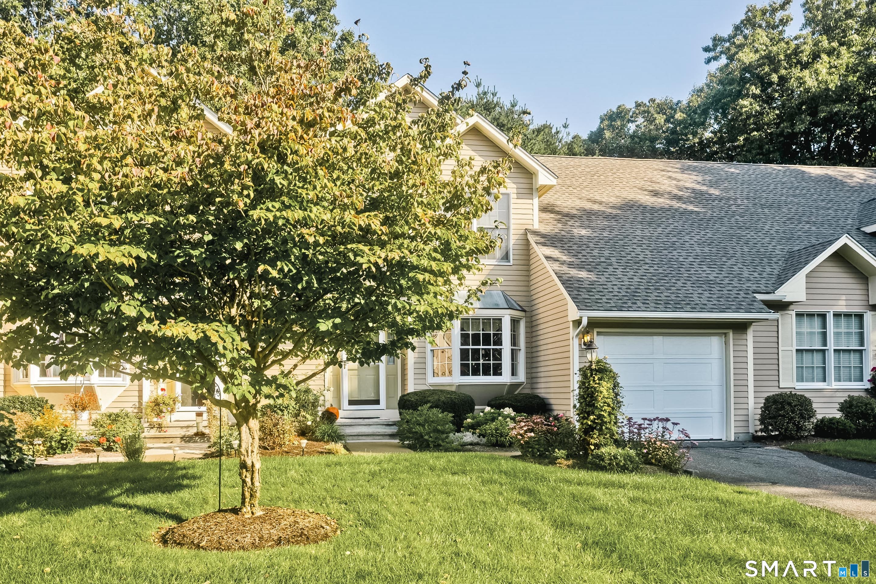55 Dartmoor Enfield CT 06082