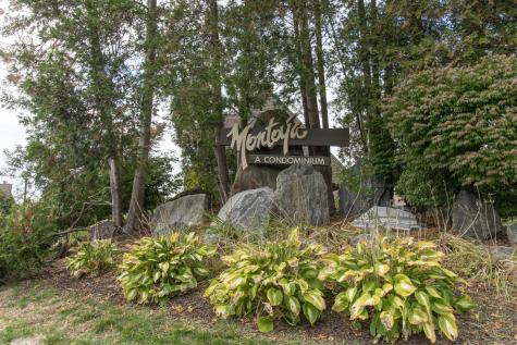 48 Montoya Drive Branford CT 06405