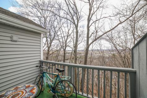 1423 Quinnipiac Avenue New Haven CT 06513