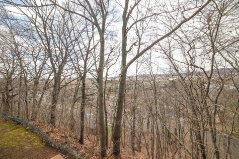 1423 Quinnipiac Avenue New Haven CT 06513