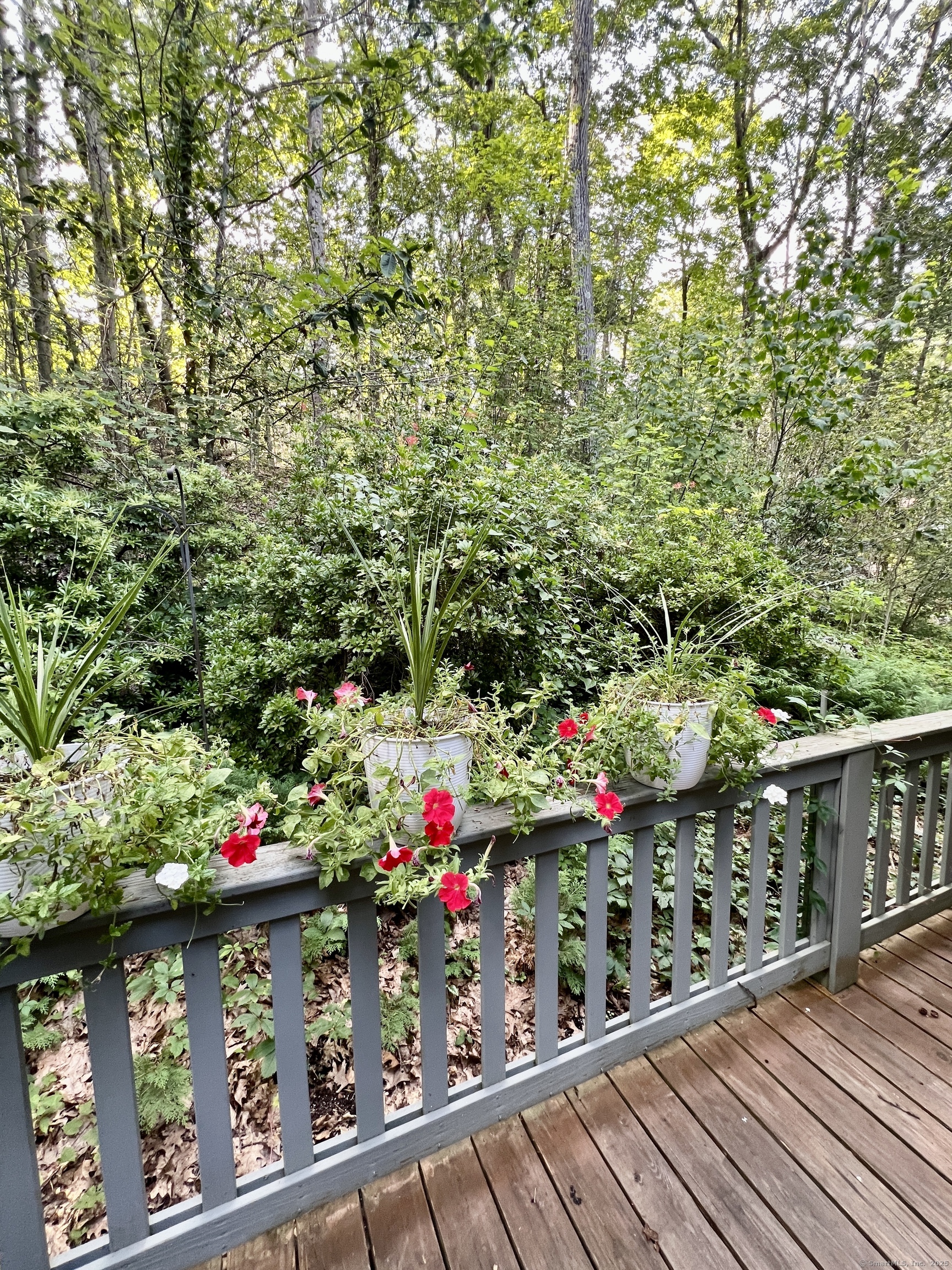 389 Trailsend Drive Torrington CT 06790