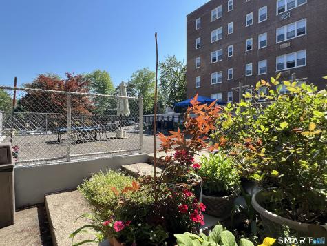 54 W North Street Stamford CT 06902