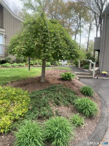 252 Agawam Drive Stratford CT 06614