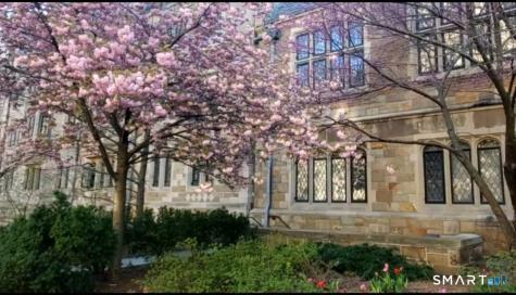 124 Court Street New Haven CT 06511