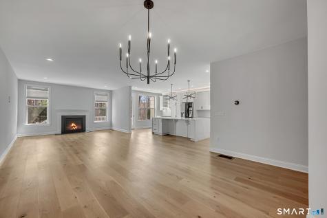 193 Ridgewood Drive Middlebury CT 06762