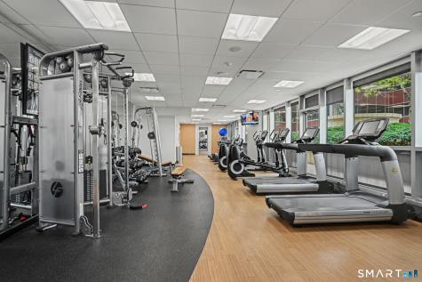 127 Greyrock Place Stamford CT 06901