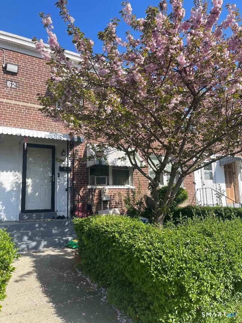 174 Courtd,bld62, Bridgeport Avenue Bridgeport CT 06610