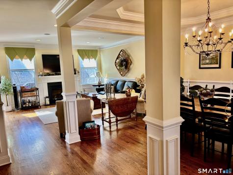 20 Great Hill Drive Bethel CT 06801
