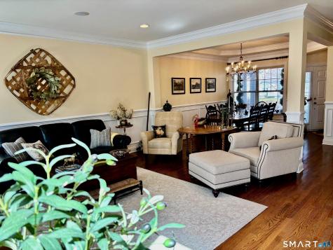 20 Great Hill Drive Bethel CT 06801