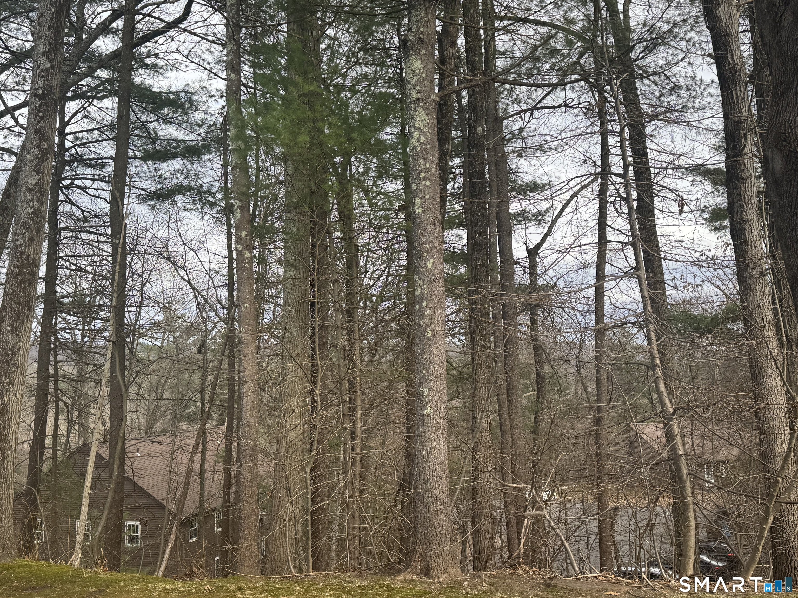239 Old Farms Road Avon CT 06001