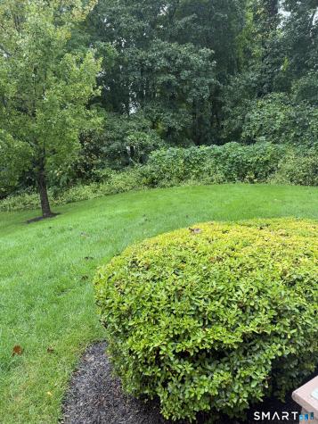 4 Bristol Terrace Danbury CT 06810