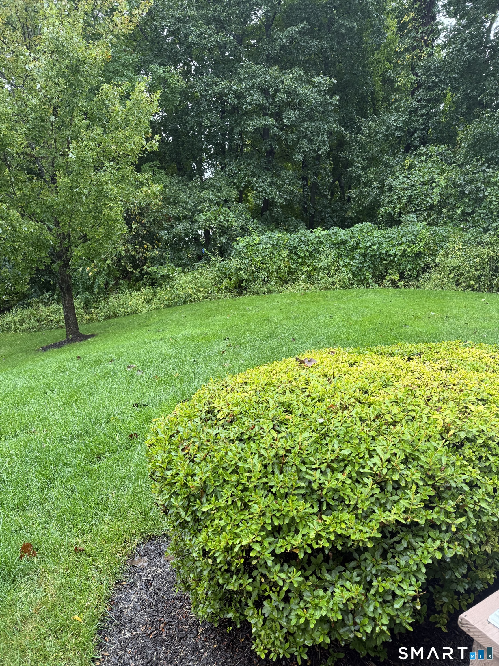 4 Bristol Terrace Danbury CT 06810