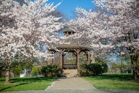 19 Prospect Ridge Ridgefield CT 06877