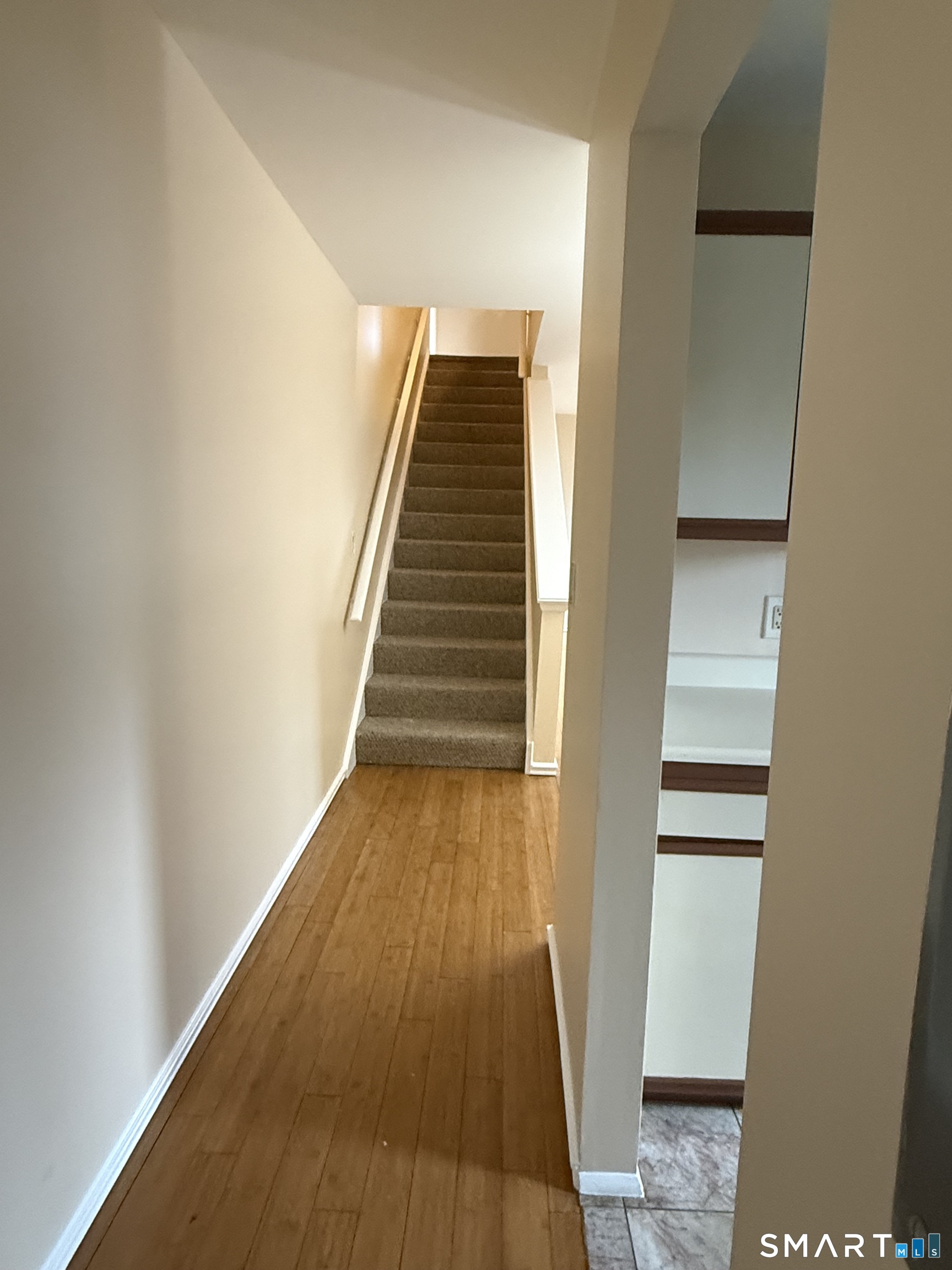 37 Greenwich Avenue Stamford CT 06902