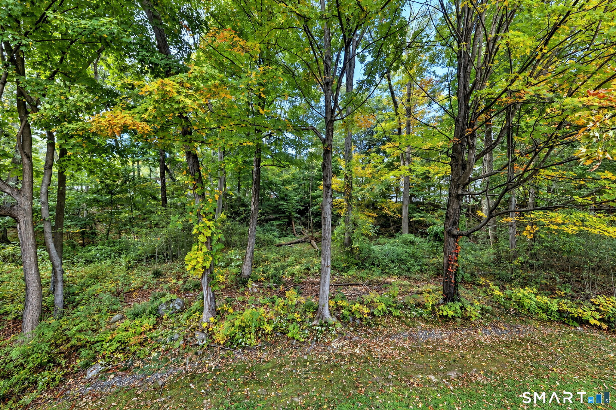 562 Swanson Crescent Milford CT 06461